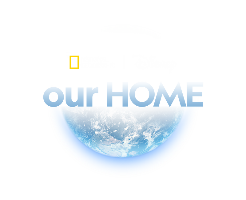 Dng ourhome logo